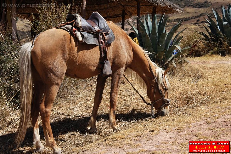 PERU - Sito agricolo di Moray - 15.jpg